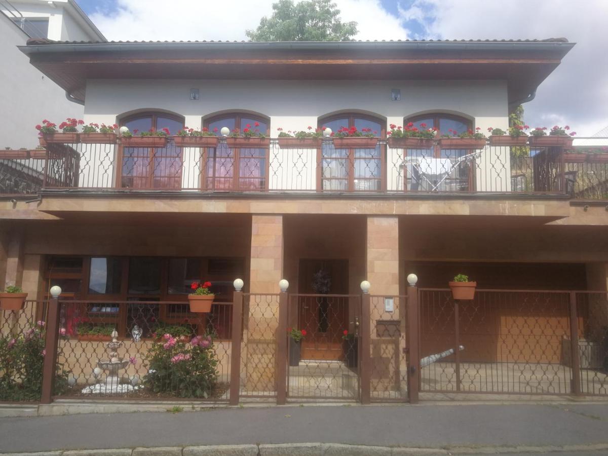 Vila Barrandov Прага Екстериор снимка